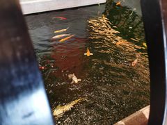 -龙悦湾酒家·八阵鱼生·渔人码头店