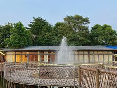 -陶缘一号·四季缘·老字号顺德菜·户外婚礼家宴(西滘店)