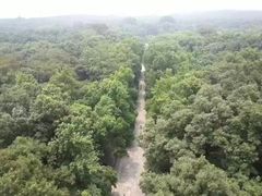 -灵谷景区