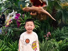 -沈阳植物园