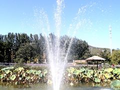 -静之湖湖畔餐厅