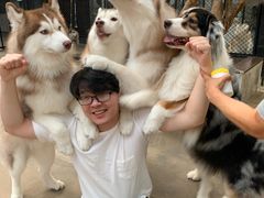 -TrueLove @ Neverland (Husky Cafe)