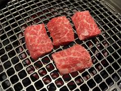 -焱铁烧·黑毛和牛专门店(南宁万象城店)