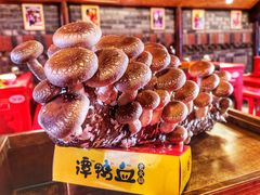 -谭鸭血老火锅(漳州路店)