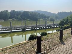 -紫金山山顶公园