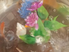 -裕和堂中医推拿艾灸(太古汇臻品店)