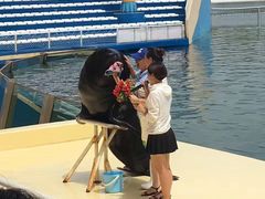 -秦皇岛乐岛海洋王国