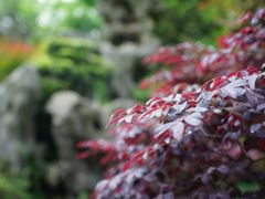 -南山植物园