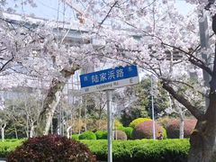 -南浦大桥长途旅游客运站