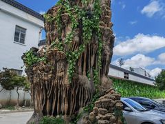 -游龙石文化科普馆