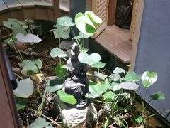 -邈墨茶馆(凤起路店)