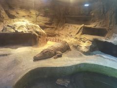 -上海昆虫博物馆