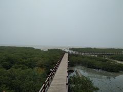 -北海金海湾红树林生态旅游区