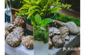 Non-Alcoholic Mojito