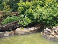 -昆明柏联SPA温泉