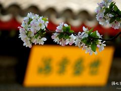 -海棠花溪(元大都城垣遗址公园)