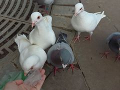 -波塞冬海底世界