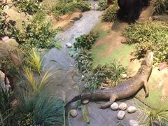 -陕西自然博物馆