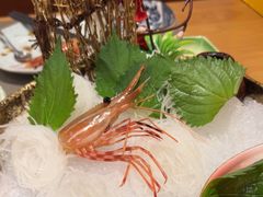 -鮨桐日本料理(望京店)