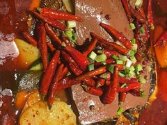 -探鱼·鲜青椒爽麻烤鱼(苏宁广场店)