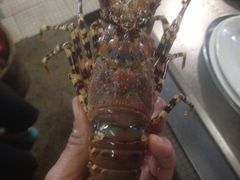 -浪琴湾尾角仔海鲜坊