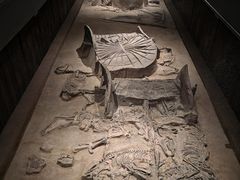 -北京大葆台遗址博物馆