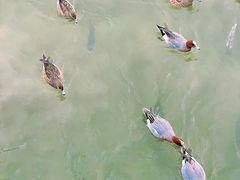 -深圳湾公园(南山区)