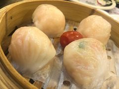 -点都德(大茶楼店)