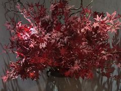 -世外桃源水疗会(皇庭彩园店)