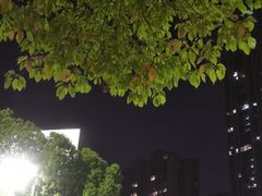 -龙头寺公园