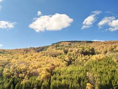 -塞罕坝国家级自然保护区