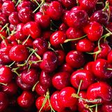 车厘子🍒🍒🍒还🉐是我们大四川汶川的最好吃[wk粽]