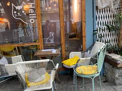 露天位-喵屿·大理花园猫咖