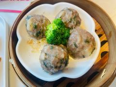-点都德·毕德寮