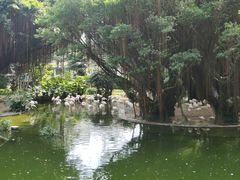 -九龙公园