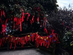 -广州市帽峰山景区