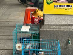 -西关84·History·Art·Cafe