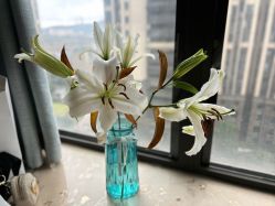 -S庆熙美学皮肤管理