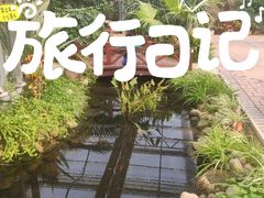 -北戴河集发农业梦想王国
