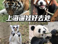 -上海野生动物园