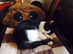 -不舍昼夜咖啡馆