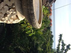 飞鱼摩娜潜水度假村-飞鱼&摩娜潜水度假村