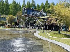 -黄海国家森林公园