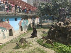 -成都动物园