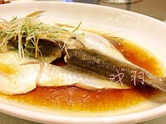 清蒸白鱼-双子楼大酒店(城开国际写字楼店)