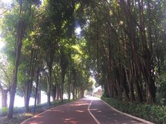 -南宁南湖公园