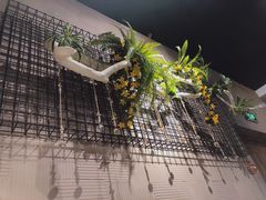 -青檸泰 LIME THAI (财富购物中心店)
