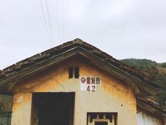 -千岛湖石林