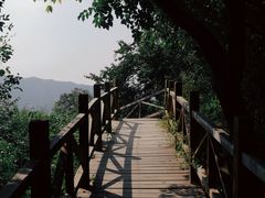-大岭沟猕猴桃谷风景区