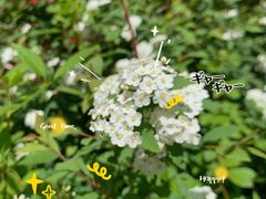 -陕西省西安植物园